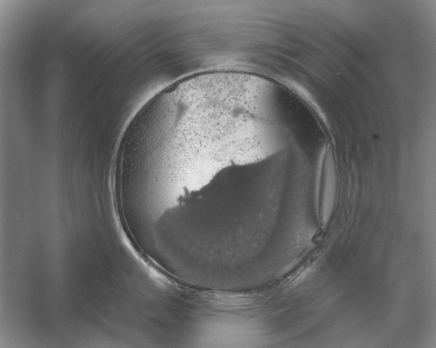 X0000056351007200509232100