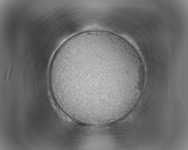 X0000056351008200509232100