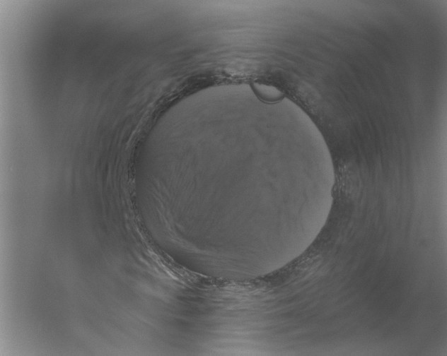 X0000056351009200509232059