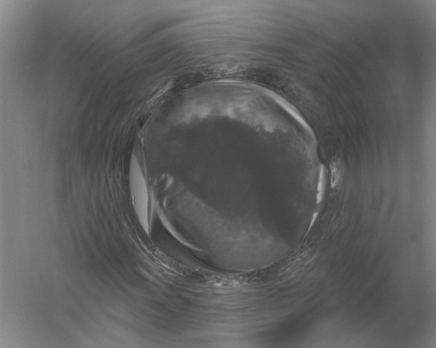 X0000056351011200509232059