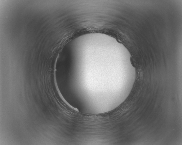 X0000056351012200509232059