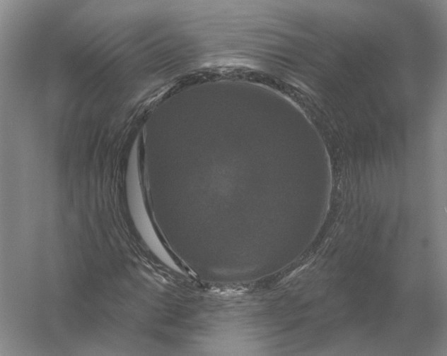 X0000056351014200509232059