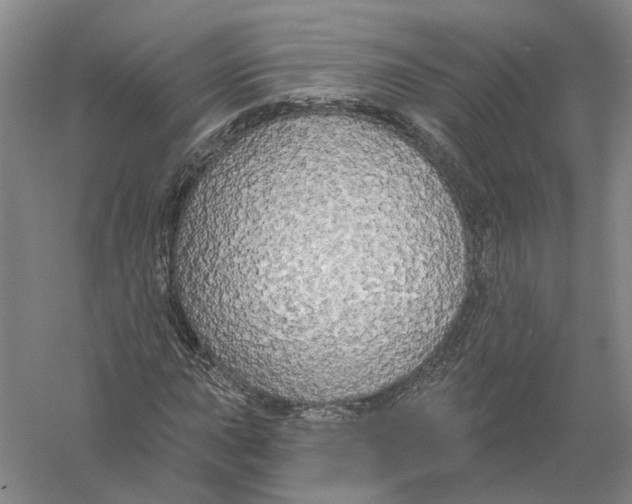 X0000056351015200509232059