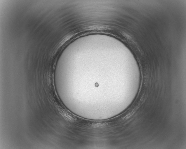 X0000056351017200509232059