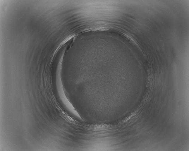 X0000056351018200509232059