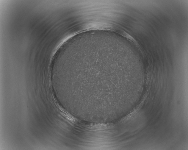 X0000056351019200509232100