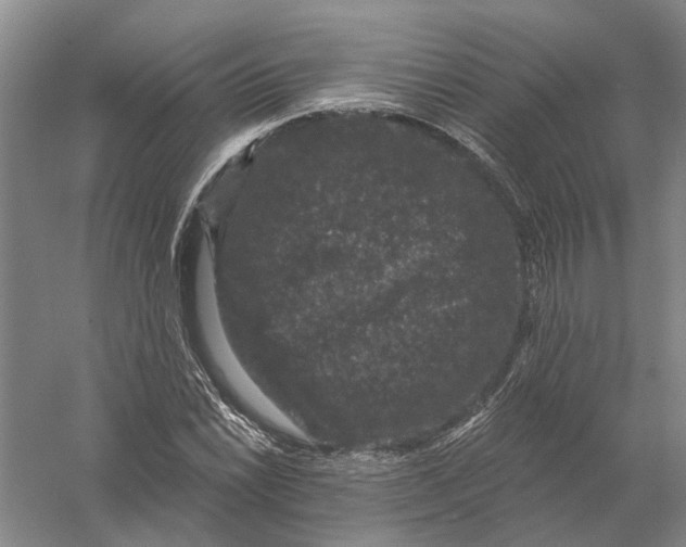 X0000056351022200509232100