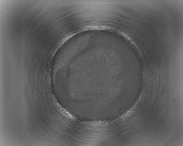 X0000056351025200509232100