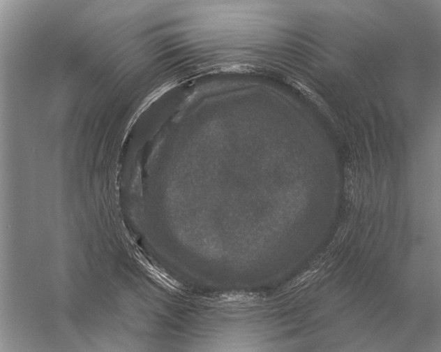 X0000056351026200509232100