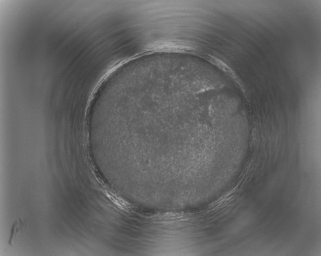 X0000056351027200509232100