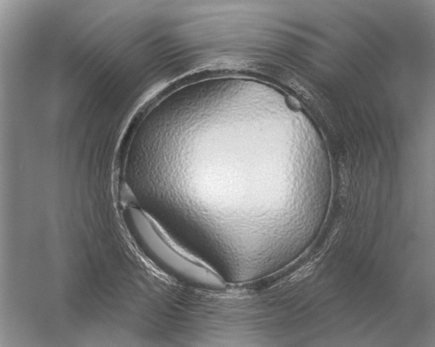 X0000056351029200509232100