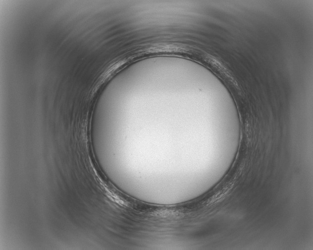 X0000056351033200509232100