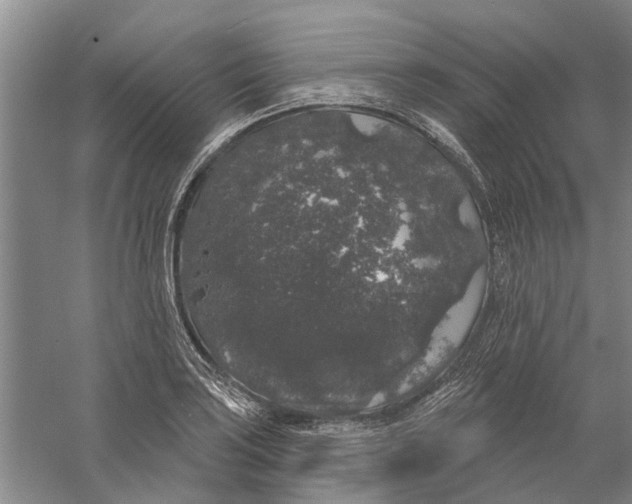 X0000056351035200509232100