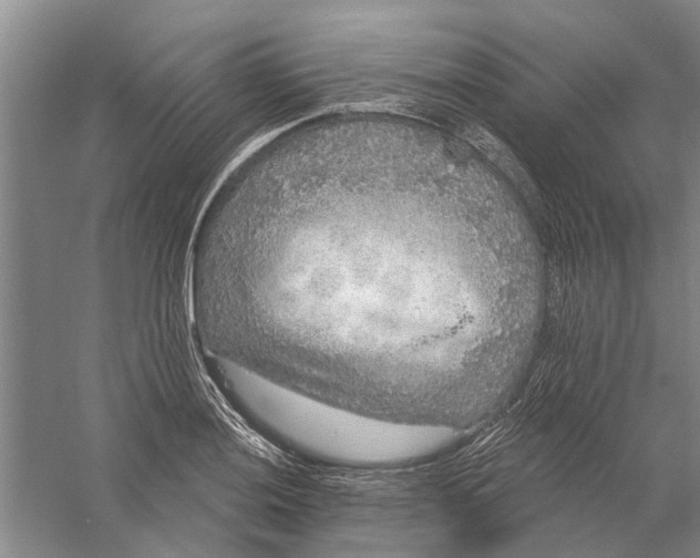 X0000056351036200509232100