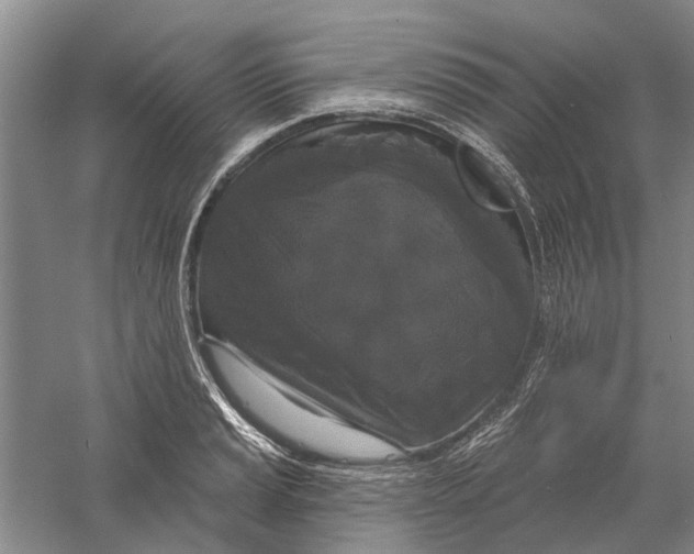 X0000056351037200509232100