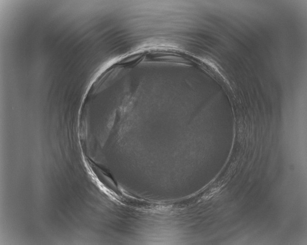 X0000056351038200509232100