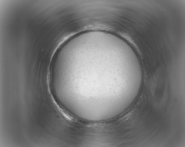 X0000056351040200509232100