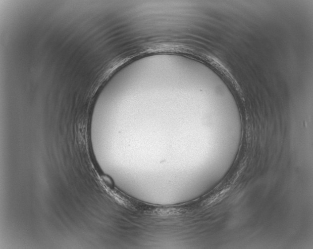 X0000056351041200509232100