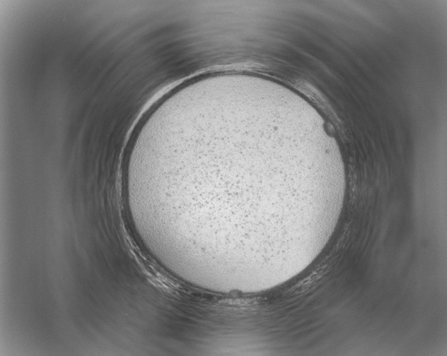 X0000056351044200509232100