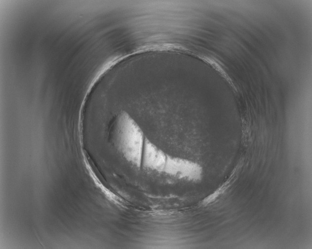 X0000056351046200509232100