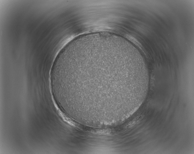 X0000056351047200509232100