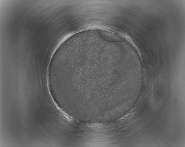 X0000056351048200509232100