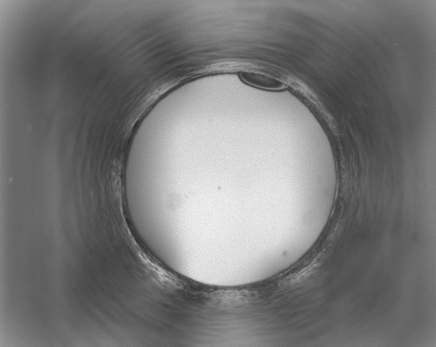 X0000056351049200509232100