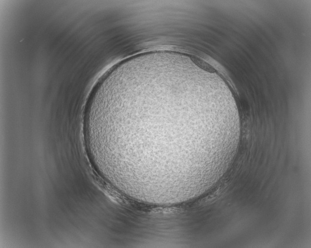 X0000056351051200509232100