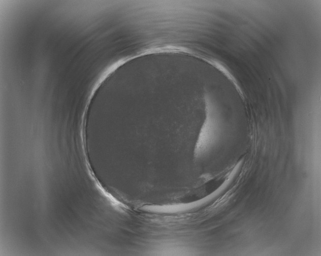 X0000056351054200509232100