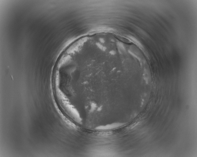 X0000056351055200509232100