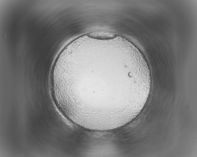 X0000056351056200509232100