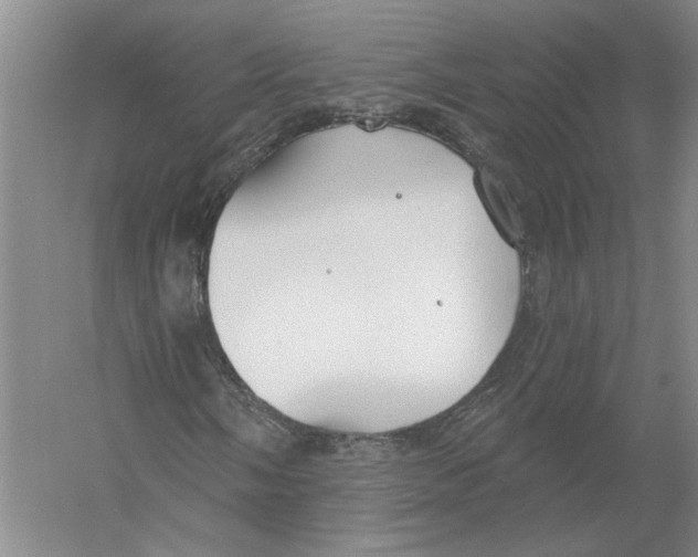 X0000056351058200509232059