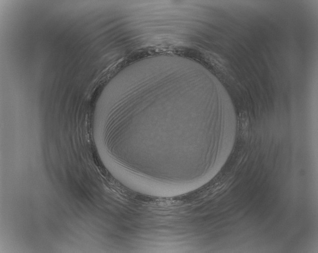 X0000056351060200509232059