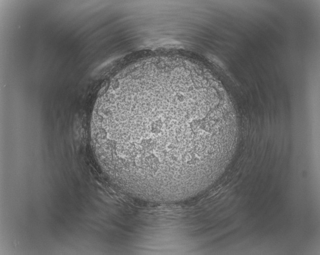 X0000056351063200509232059