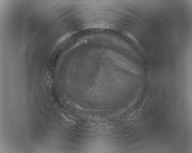 X0000056351064200509232059