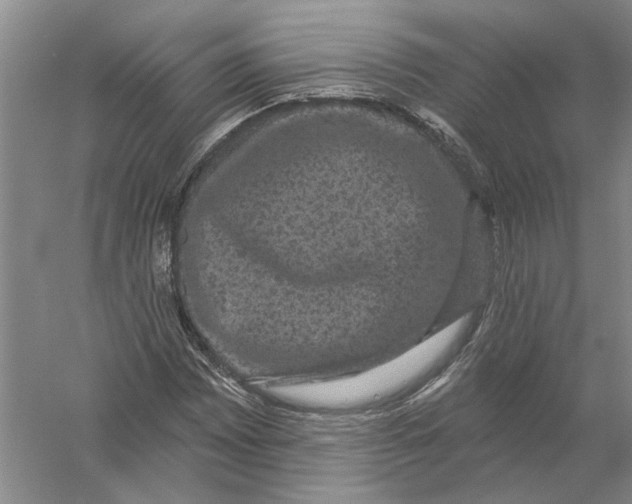 X0000056351065200509232059