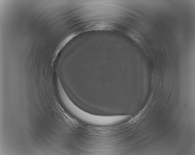 X0000056351066200509232059