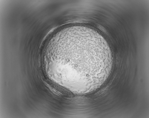 X0000056351067200509232059