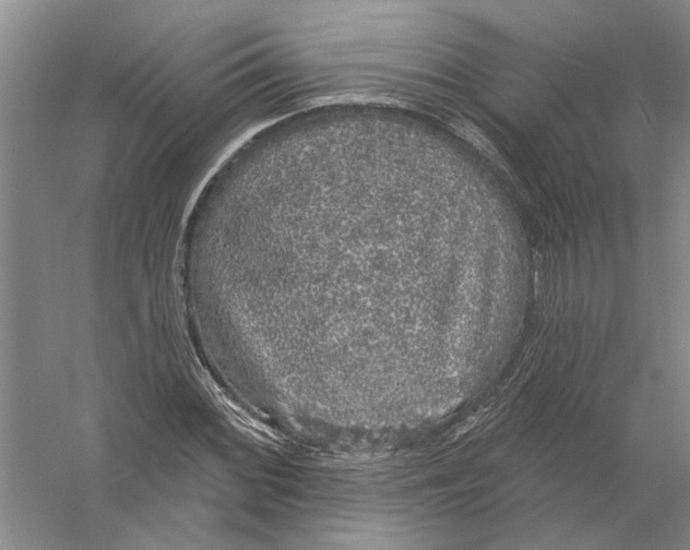 X0000056351068200509232059