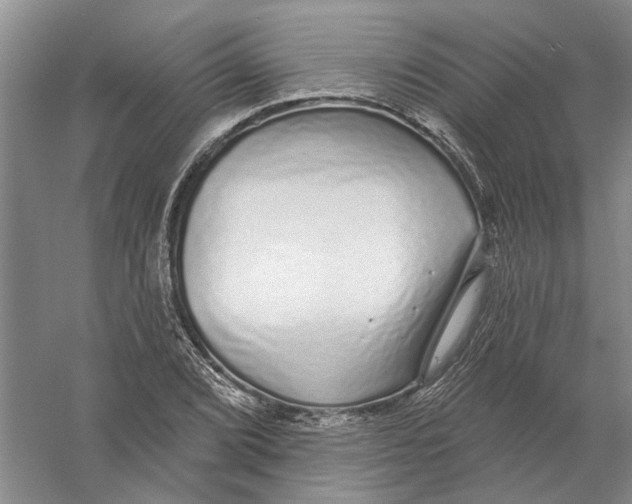 X0000056351072200509232059