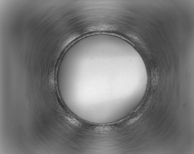 X0000056351073200509232059