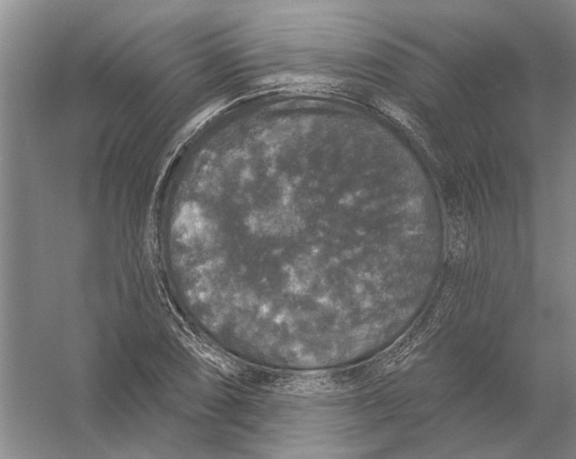 X0000056351074200509232059