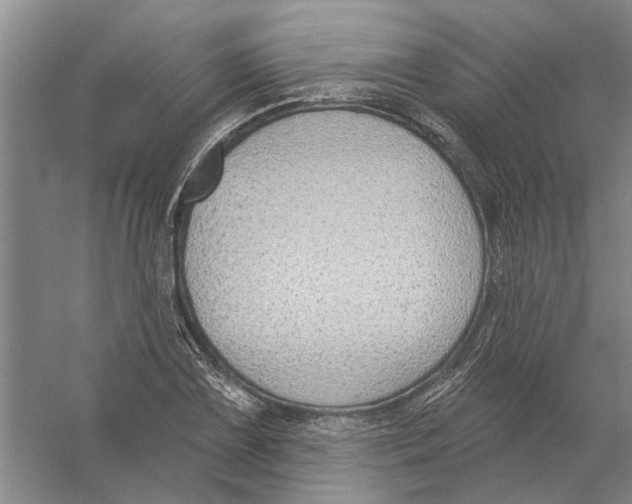 X0000056351075200509232059