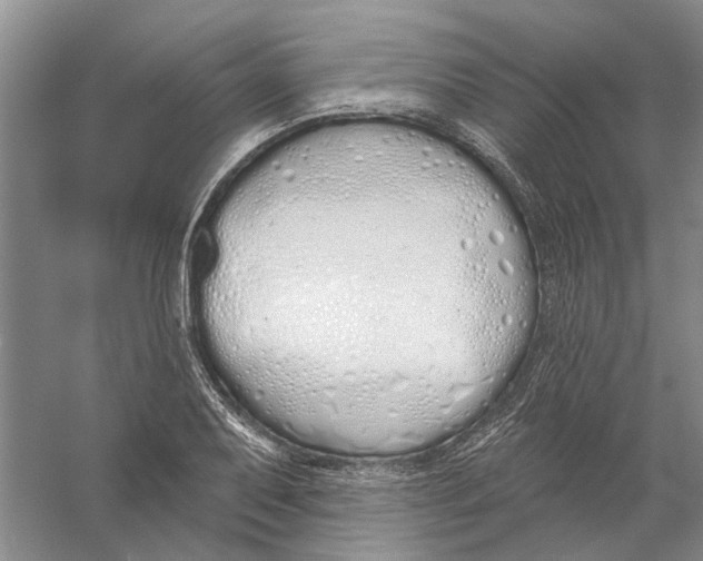 X0000056351079200509232059