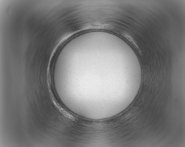 X0000056351080200509232059