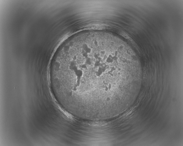 X0000056351083200509232059