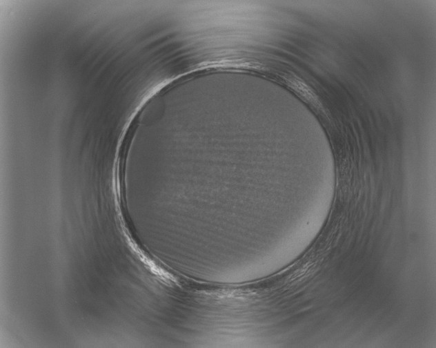 X0000056351084200509232059