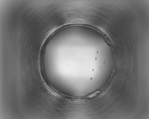 X0000056351085200509232059