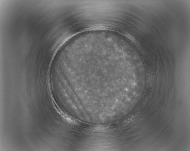 X0000056351086200509232059