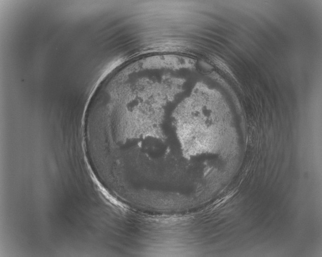 X0000056351087200509232059